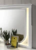 Furniture of America - Lareina Mirror w/ LED in Pearl White