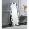Glam Style Crystal Accent Light Floor Mirror