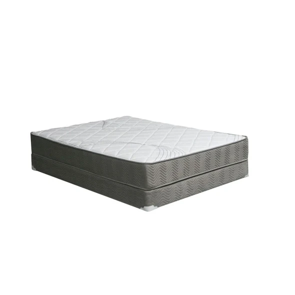 Furniture of America - Edrea 10" Tight Top Pocket Coil Queen in White/Gray