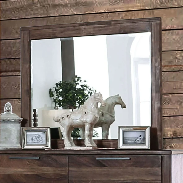 Furniture of America - Hankinson Mirror in Rustic Natural Tone