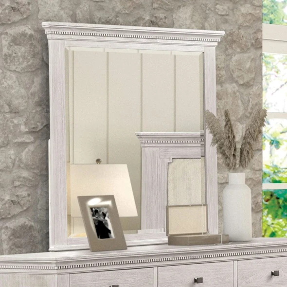 Furniture of America - Swanley Mirror in Weathered Gray