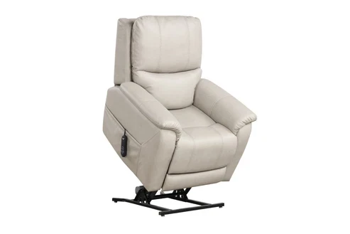 Furniture of America - Ethelreda Lift Chair in Light Gray