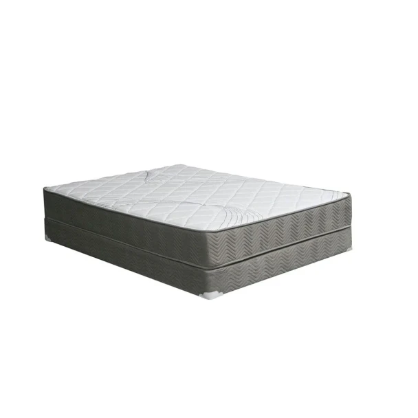 Furniture of America - Edrea 10" Tight Top Pocket Coil Queen in White/Gray