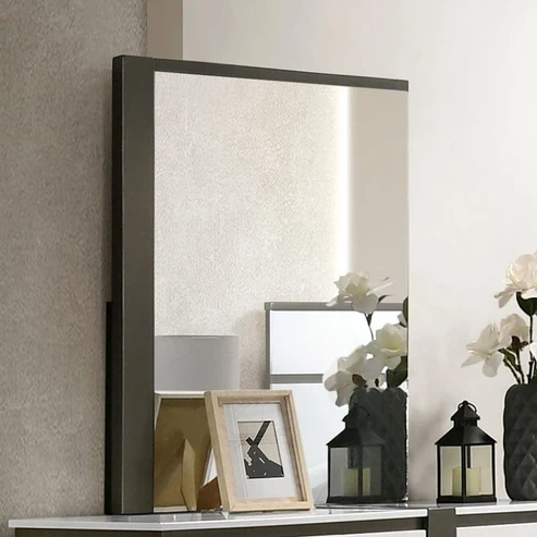 Furniture of America - Birsfelden Mirror in Metallic Gray