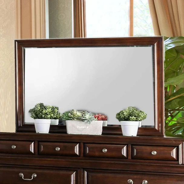 Furniture of America - Brandt Mirror in Brown Cherry