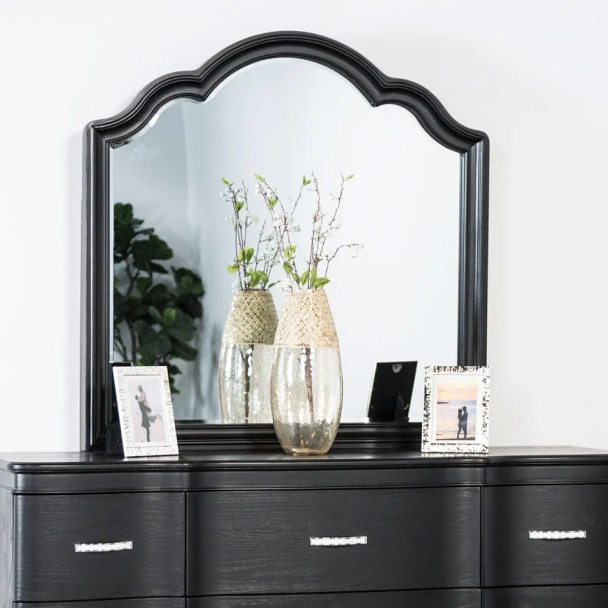 Furniture of America - Eleanora Mirror in Black