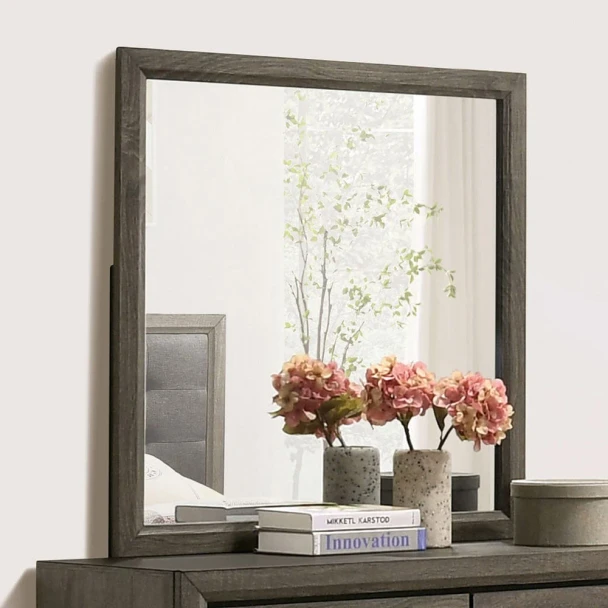 Furniture of America - Roanne Mirror in Gray