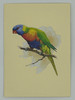 Handmade 3D Kirigami Card

with envelope

Lorikeet Bird
