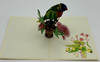 Handmade 3D Kirigami Card

with envelope

Lorikeet Bird
