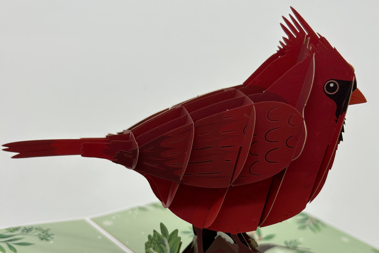 Christmas Cardinal Bird 1 - Kori Ann Designs