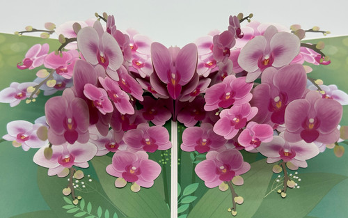 Handmade 3D Kirigami Card

with envelope

Orchid Pink Flower