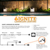 ignite lighting information