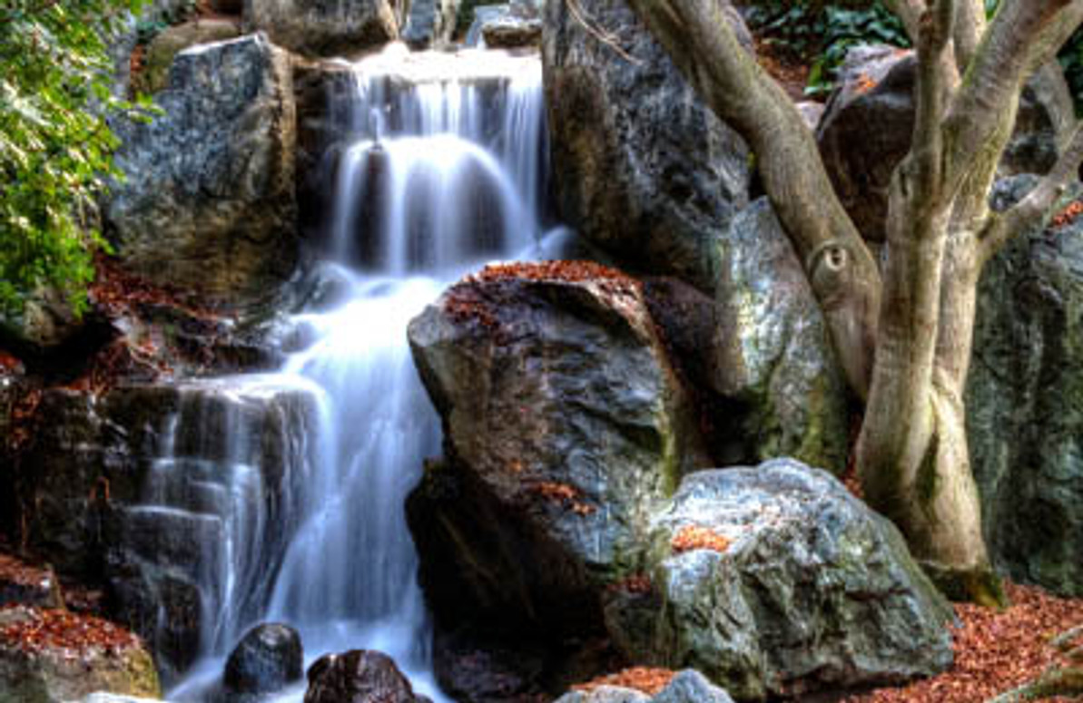 What’s the difference between a pond and pond free water feature? 