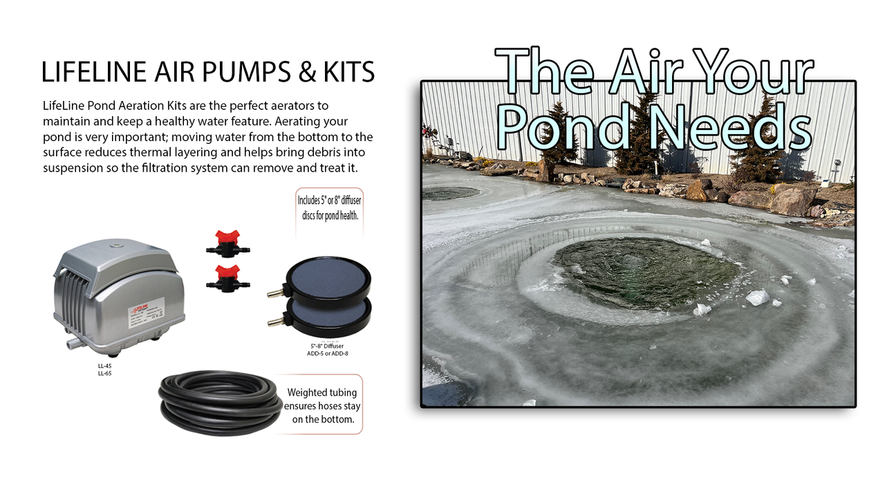 Living Ponds Slide 2