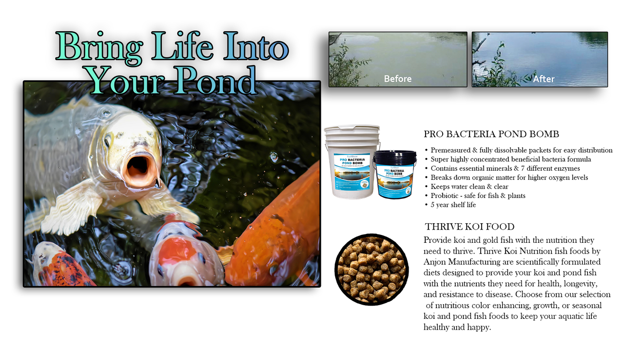 Living Ponds Slide 3