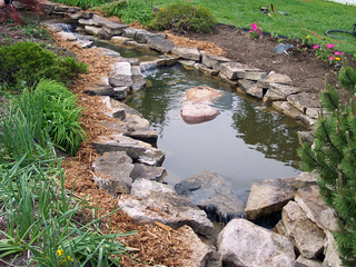 1050 Pond