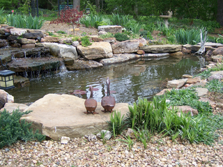 1500 Pond
