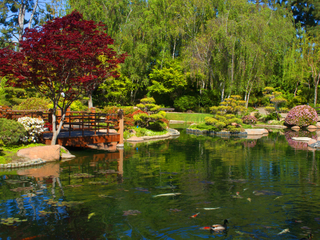 3000 Pond