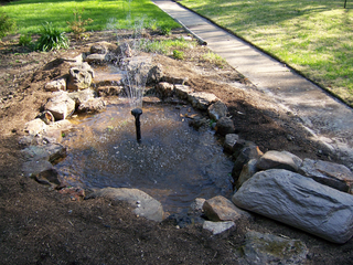 550 Pond