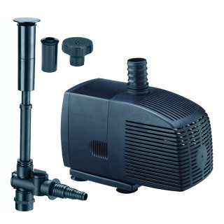 Little Frog Fountain Pumps