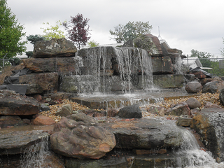 Slide 1 of Pond Free