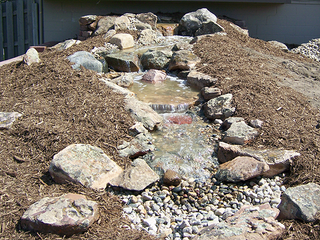 Slide 2 of Pond Free