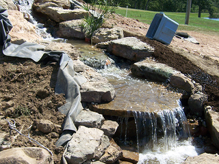 Slide 3 of Pond Free