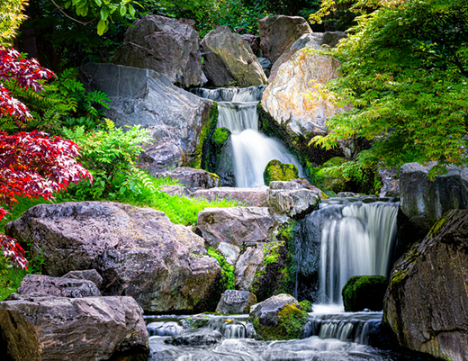 Complete Pond Free Water Feature Package