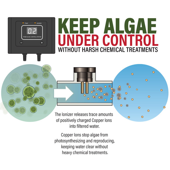 The Anjon Pond Ionizer, infographic
