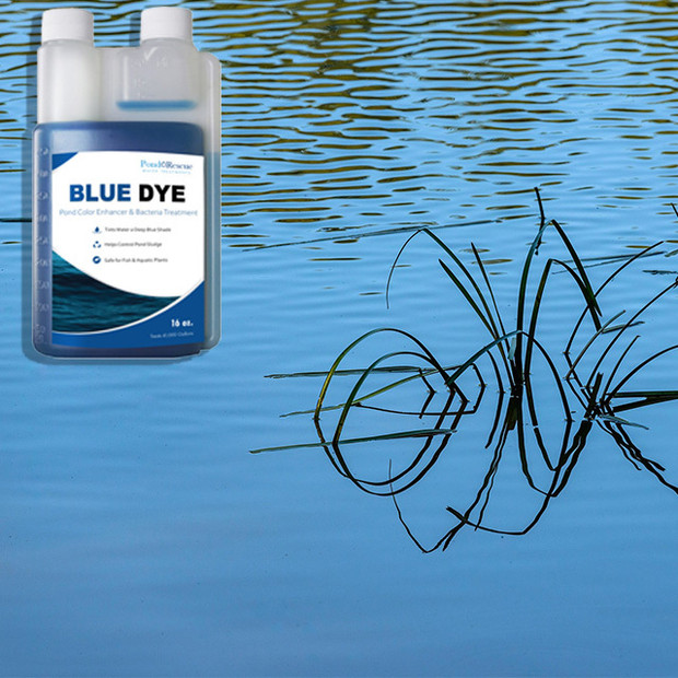 Blue Pond Pro