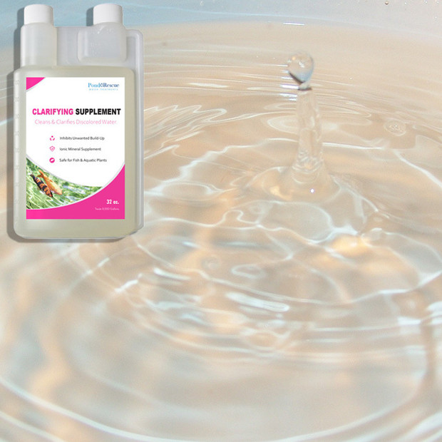 Clarifying Supplement