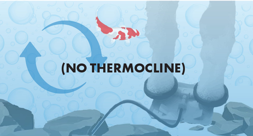 During Aeration - No Thermocline