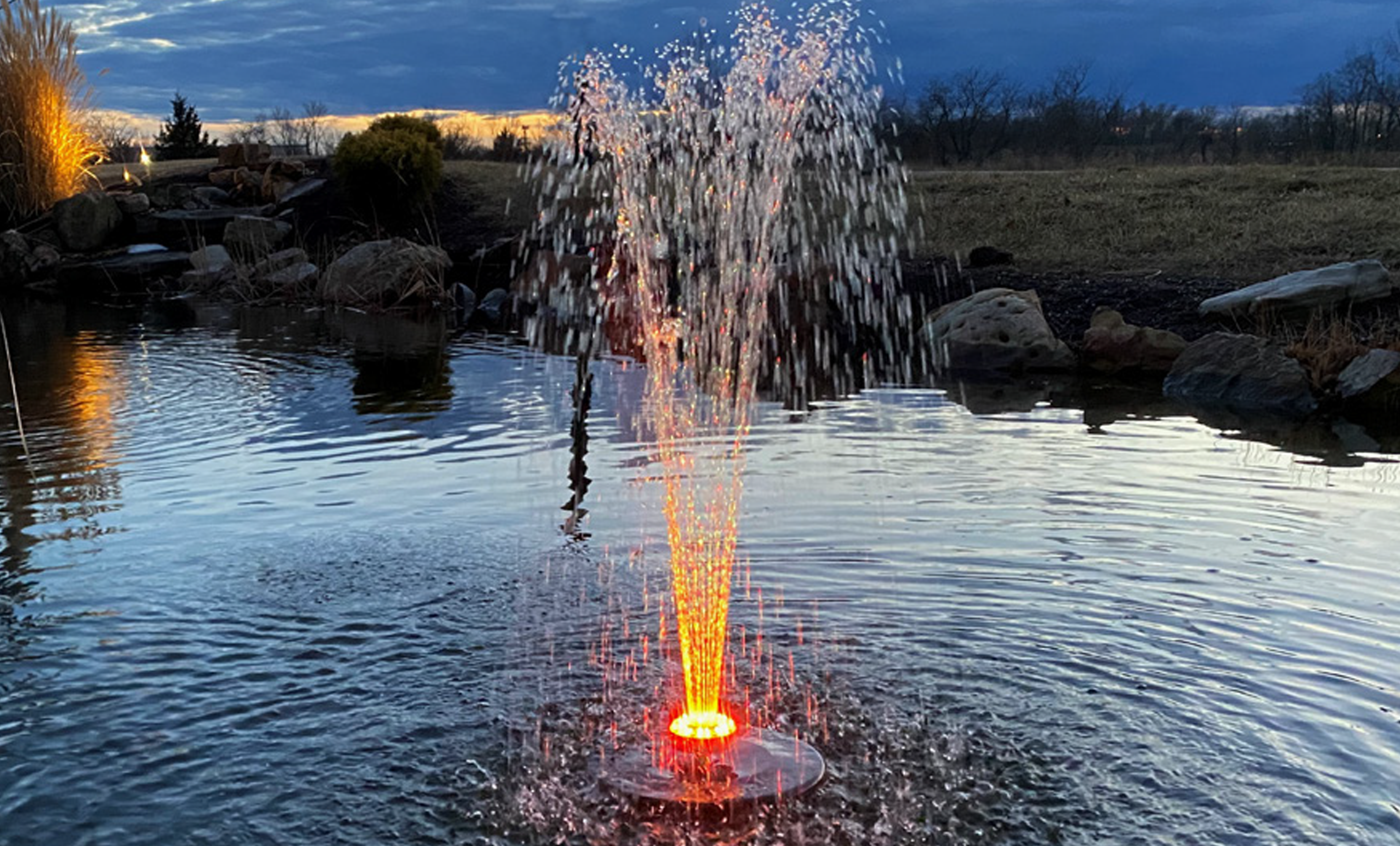 Little Frog Fountain Pump