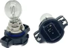 2 x 12V 19W white light Bulbs Lamp DRL Fog PS19W PG20/1 PS19w