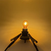 1 x 12V PWY24W with socket 24W amber yellow indicator light bulb 12174