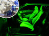 LED interior lighting kit upgrade for BMW X5 E53 2000-06 - Green