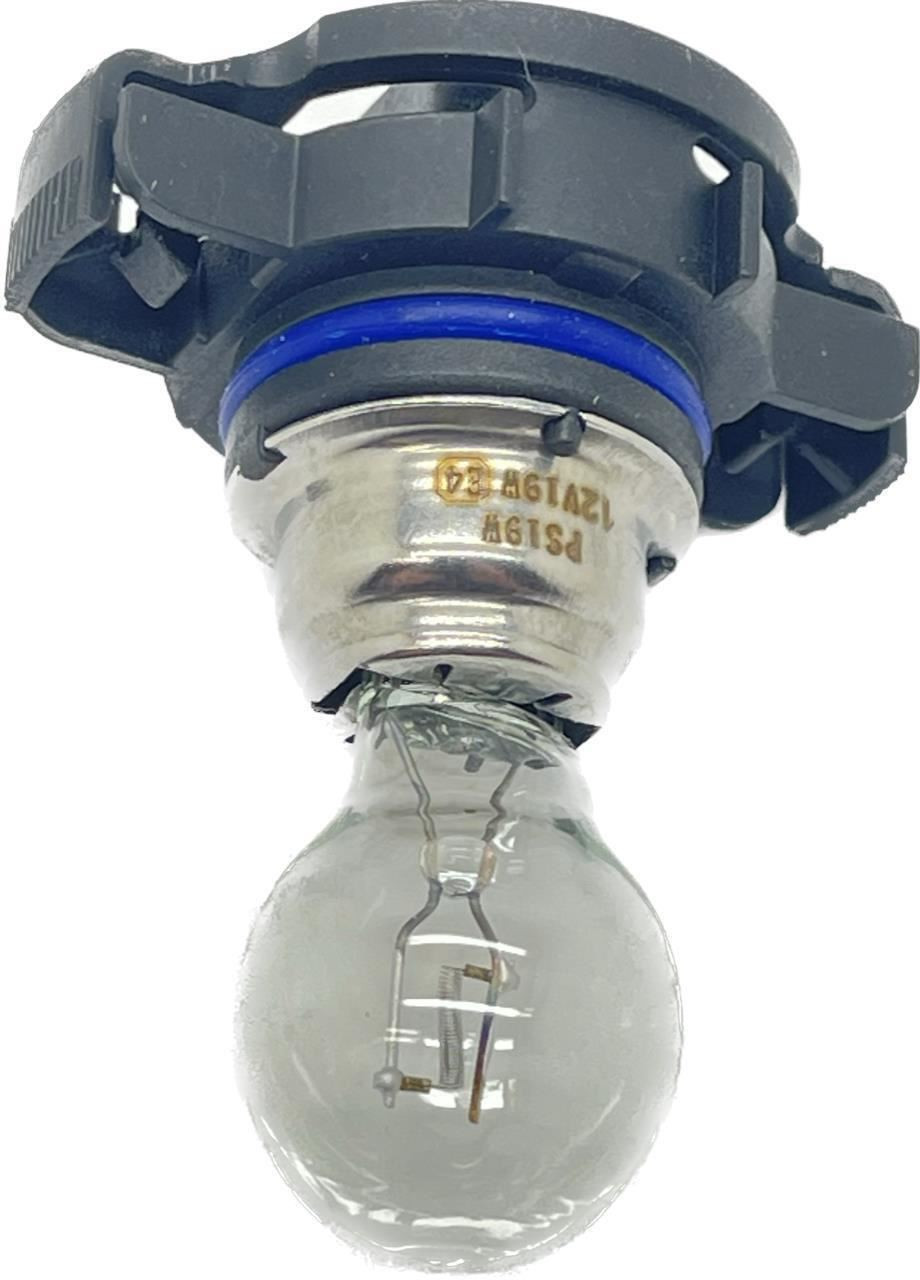 1 x 12V 19W white light Bulb Lamp DRL Fog PS19W PG20/1 PS24w