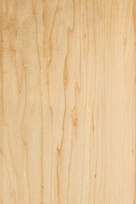 Highland Slab Cabinet Door