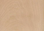 Select Beech cabinet door wood species
