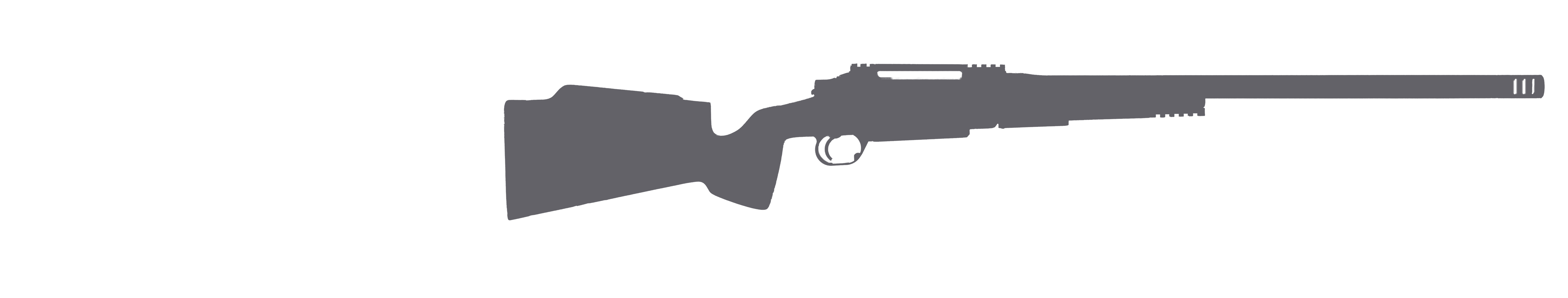 Bolt Action Model 1
