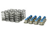 Brian Tooley BTR .560" Lift LS6 Beehive Valve Springs and Hat Seals 4.8 5.3 5.7 6.0  Replaces 12713265 12499224