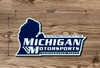 Michigan Motorsports 5 X 10 Decal Logo