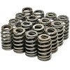 Michigan Motorsports .550 lift Beehive Valve Springs  Fits 4.8 5.3 6.0 6.2 LS1 LS2 LS3 LS6 LQ4 LQ9 replaces 12713265