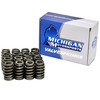 Michigan Motorsports .550 lift Beehive Valve Springs  Fits 4.8 5.3 6.0 6.2 LS1 LS2 LS3 LS6 LQ4 LQ9 replaces 12713265