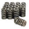 Michigan Motorsports .550 lift Beehive Valve Springs  Fits 4.8 5.3 5.7 6.0 6.2 LS1 LS2 LS3 LS6 LQ4 LQ9 replaces 12713265