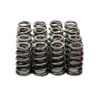 Michigan Motorsports .600" Beehive LS Valve Springs with Seals - Set of 16 - 4.8L 5.3L 5.7L 6.0L 6.2L LS1 LS2 LS3 LM7 L33 LQ4 L92 L96