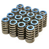 Michigan Motorsports Gen V .550" Lift Valve Springs 2014+ L83 L86 LT1 L84 L87 LT4 L8T L82 LT Beehive Spring Kit