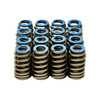 Michigan Motorsports Gen V .550" Lift Valve Springs 2014+ L83 L86 LT1 L84 L87 LT4 L8T L82 LT Beehive Spring Kit
