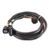 Holley 558-406 GM LS Drive-By-Wire Harness for 6-Pin Throttle Body and Pedal 2005+ Car 2007+ Truck/SUV 4.8L 5.3L 6.0L 6.2L