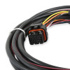 Holley 558-406 GM LS Drive-By-Wire Harness for 6-Pin Throttle Body and Pedal 2005+ Car 2007+ Truck/SUV 4.8L 5.3L 6.0L 6.2L